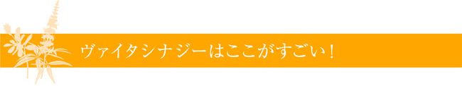 ヴァイタシナジーはここがすごい！