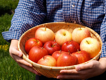 まっかなほんとのりんごは安心安全美味しい