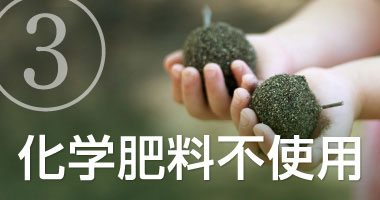 まっかなほんと:化学肥料も一切使用しておりません