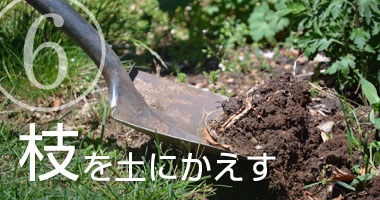 まっかなほんと:ゴミを減らし、さらに再利用する