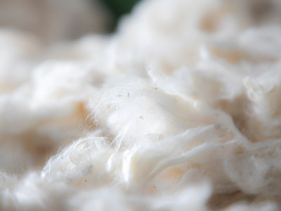 産地から届いたばかりのオーガニックコットン