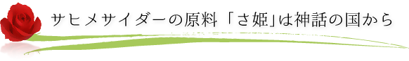 サヒメサイダーの原料 「さ姫」は神話の国から