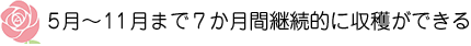 5月～11月まで7か月間継続的に収穫ができる