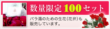 数量限定100セット