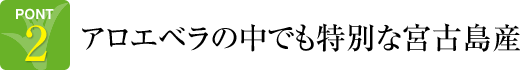 POINT2.アロエベラの中でも特別な宮古島産