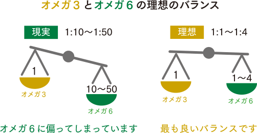 オメガ3とオメガ6の理想のバランス