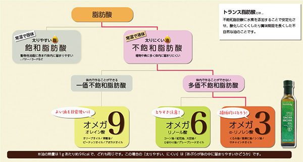 脂肪酸の分類グラフ