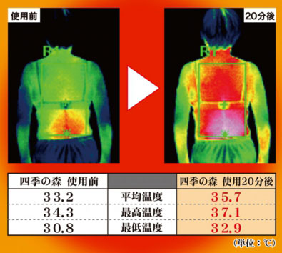 四季の森使用前と使用後の比較図