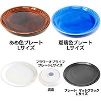 森修焼（しんしゅうやき） プレート Lサイズ よりどり2個セット