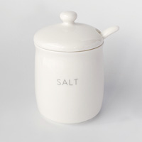 森修焼（しんしゅうやき） 調味料入れ SALT