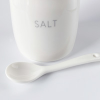 森修焼（しんしゅうやき） 調味料入れ SALT