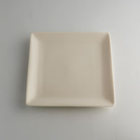 【２万円ご購入プレゼント】 森修焼（しんしゅうやき）「ありがとう銘々皿(角皿)」 