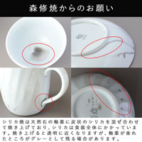 森修焼（しんしゅうやき） シリカ焼 コーヒーセット カップ W85×H65mm ソーサー W155mm