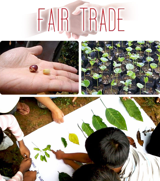 FAIR TRADE フェアトレード