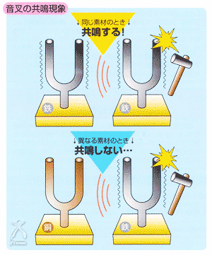 スマーティ：音叉の共鳴現象