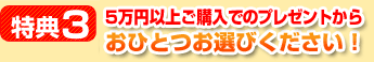 特典4.5万円以上のプレゼントからおひとつお選びください♪