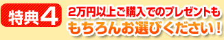 特典5.2万円以上のプレゼントももちろんお選びください！