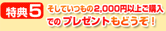 特典6.そしていつもの2千円以上のプレゼントもどうぞ！