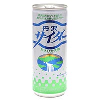 【30本セット】丹沢サイダー 250ml×30本