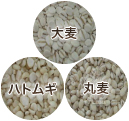 麦類