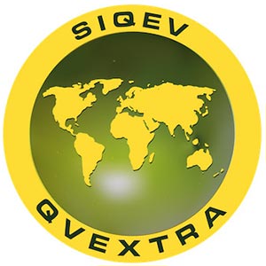 QVExtra インターナショナル　について