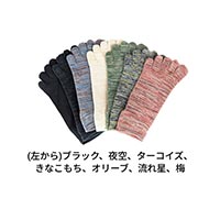杉山ニット工業 EM5本指ソックス雅/スニーカー EM Five-toed Socks sneakers ブラック/25-27cm