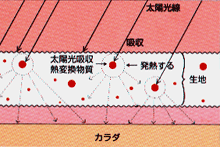 EM五本指靴下:太陽熱吸収表