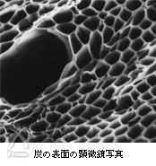 クライファー炭シャンプー：炭の顕微鏡写真