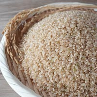 夢大地すみれ 竹炭米「夢大地」 福島県産コシヒカリ（特別栽培米） 玄米／600g