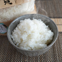 夢大地すみれ 竹炭米「夢大地」 福島県産コシヒカリ（特別栽培米） 白米／600g