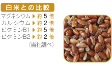 たなつもの 国産もち赤米 200g