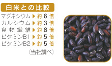 たなつもの 国産もち黒米 200g