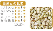 たなつもの 国産有機そばの実 200g