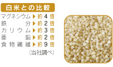 たなつもの 国産ひえ 200g