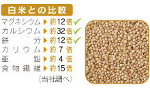 たなつもの 国産アマランサス 200g