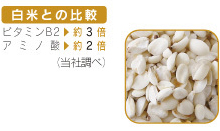 たなつもの国産はとむぎ(割れ)【特別栽培】