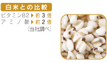 たなつもの 国産はとむぎ（丸粒）【特別栽培】 200g