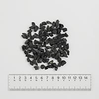 ショールトルマリン 4〜8mm 1000g