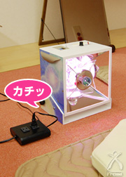 脳ヒーラー＋禅コンセント